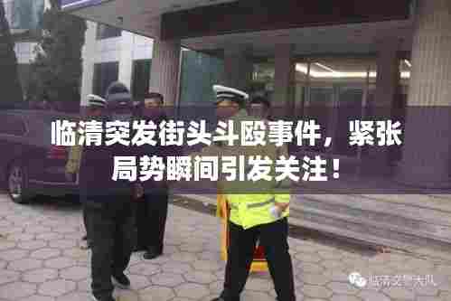 临清突发街头斗殴事件,紧张局势瞬间引发关注!
