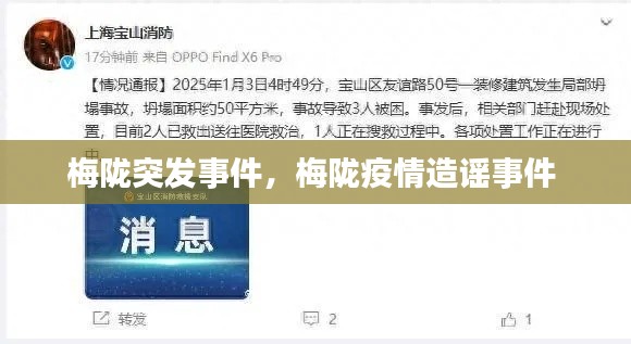 梅陇突发事件,梅陇疫情造谣事件