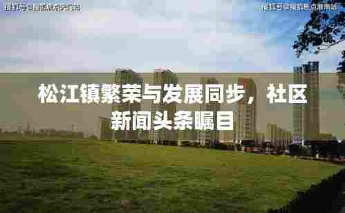 松江镇繁荣与发展同步,社区新闻头条瞩目