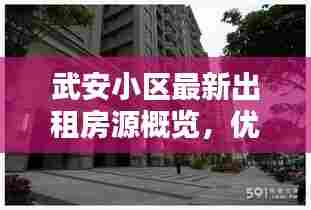 武安小区最新出租房源概览，优质房源一览无余