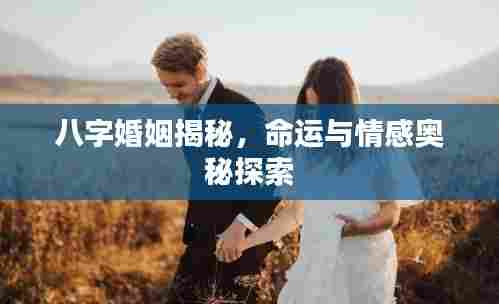 八字婚姻揭秘,命运与情感奥秘探索