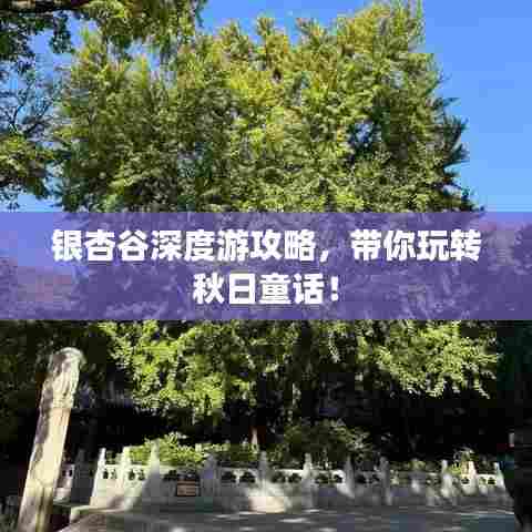 银杏谷深度游攻略，带你玩转秋日童话！