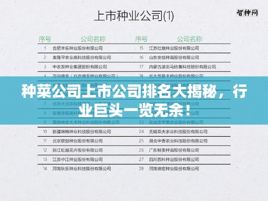 种菜公司上市公司排名大揭秘,行业巨头一览无余!