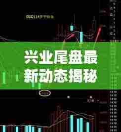 兴业尾盘最新动态揭秘,今日消息一览