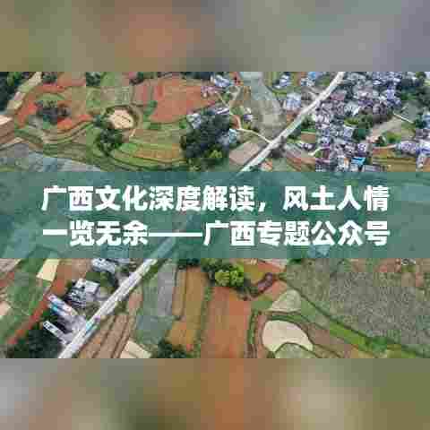 广西文化深度解读,风土人情一览无余——广西专题公众号