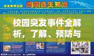 校园突发事件全解析,了解、预防与处理的重要性