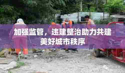 加强监管,违建整治助力共建美好城市秩序