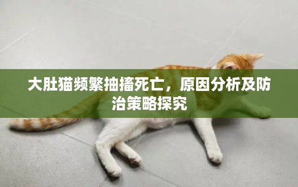 大肚猫频繁抽搐死亡,原因分析及防治策略探究