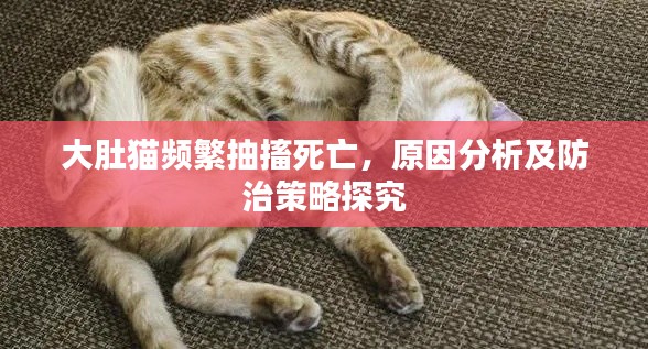 大肚猫频繁抽搐死亡,原因分析及防治策略探究