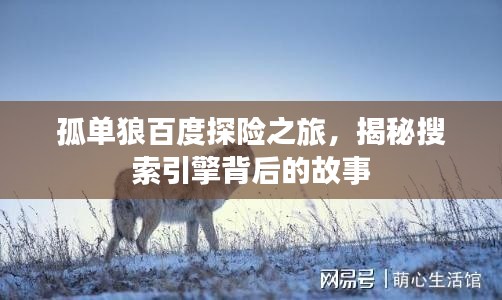 孤单狼百度探险之旅,揭秘搜索引擎背后的故事