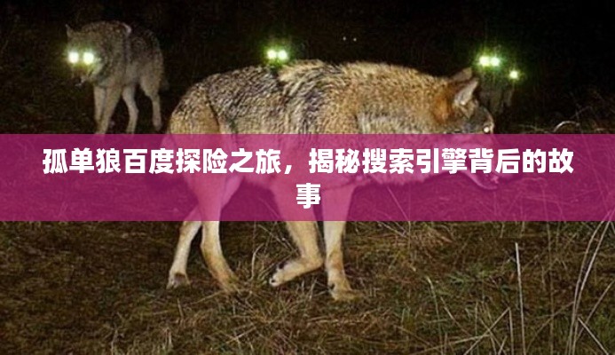 孤单狼百度探险之旅,揭秘搜索引擎背后的故事