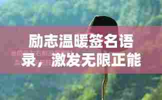 励志温暖签名语录,激发无限正能量!