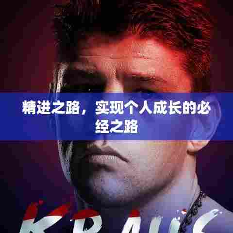 精进之路,实现个人成长的必经之路