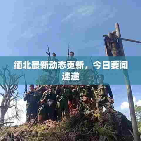 鸷鸟不群 第6页