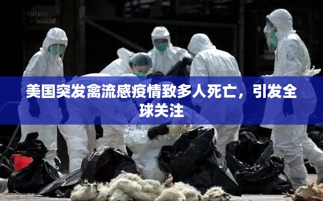 美国突发禽流感疫情致多人死亡,引发全球关注