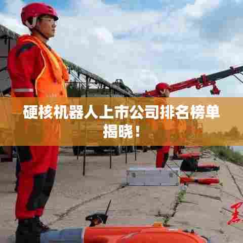 硬核机器人上市公司排名榜单揭晓!