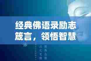 经典佛语录励志箴言,领悟智慧,启迪人生之路