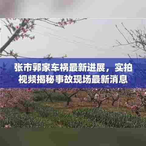 张市郭家车祸最新进展，实拍视频揭秘事故现场最新消息