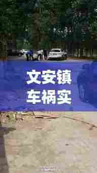 文安镇车祸实时更新，最新消息与现场情况揭秘
