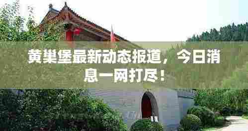 林下风范 第6页