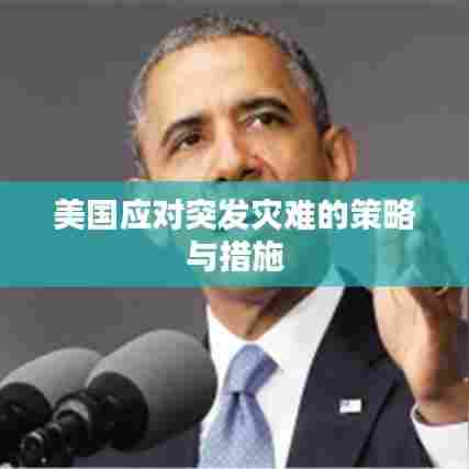 美国应对突发灾难的策略与措施