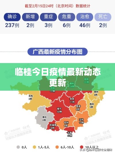 临桂今日疫情最新动态更新
