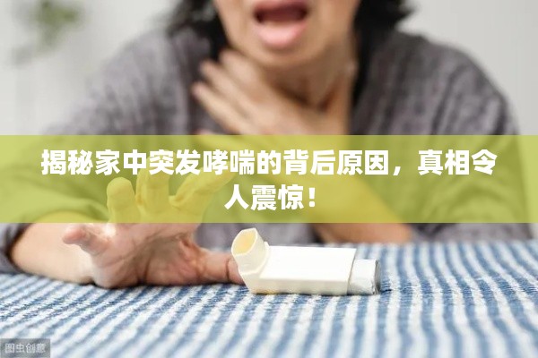 揭秘家中突发哮喘的背后原因,真相令人震惊!