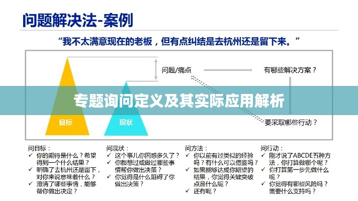 专题询问定义及其实际应用解析