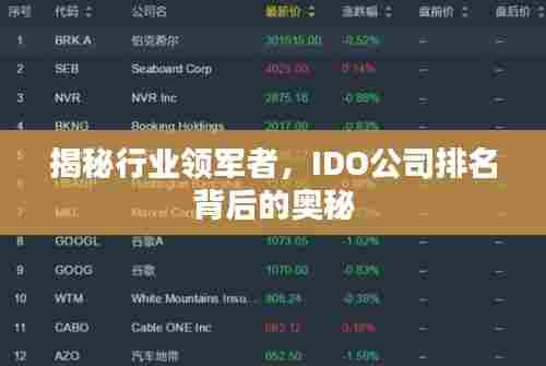 揭秘行业领军者，IDO公司排名背后的奥秘