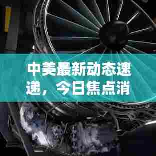 中美最新动态速递,今日焦点消息全解析