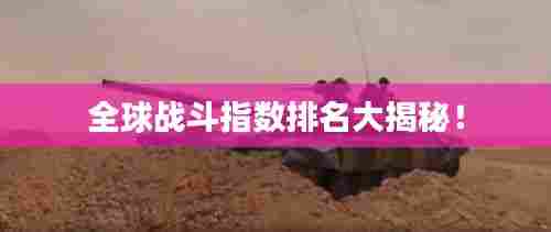 全球战斗指数排名大揭秘!