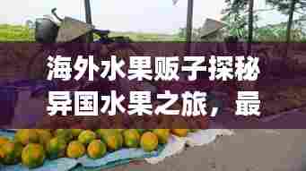 海外水果贩子探秘异国水果之旅,最新视频集锦呈现