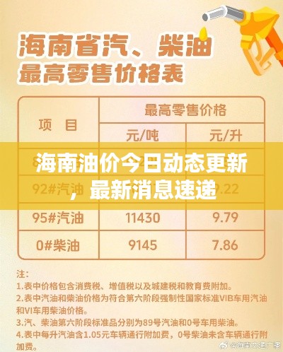 海南油价今日动态更新,最新消息速递