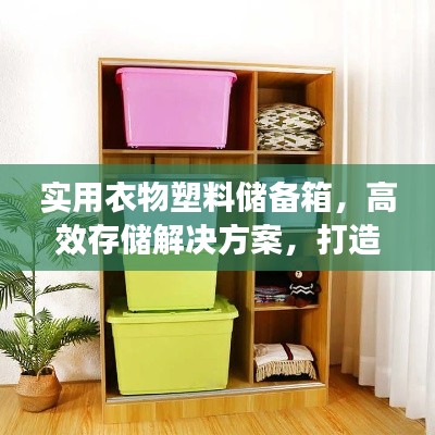 实用衣物塑料储备箱,高效存储解决方案,打造整洁生活空间!
