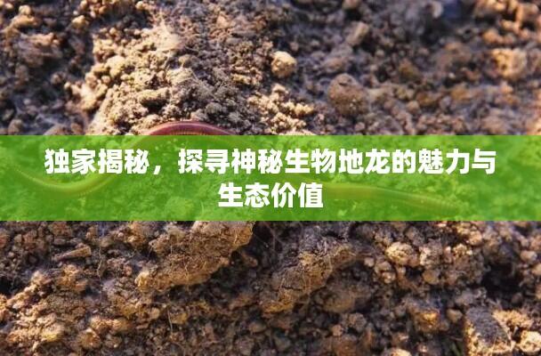 独家揭秘,探寻神秘生物地龙的魅力与生态价值
