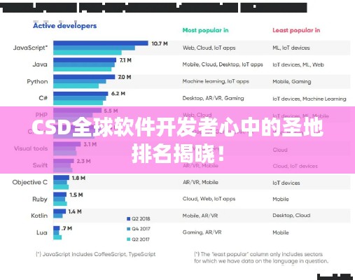 CSD全球软件开发者心中的圣地排名揭晓!