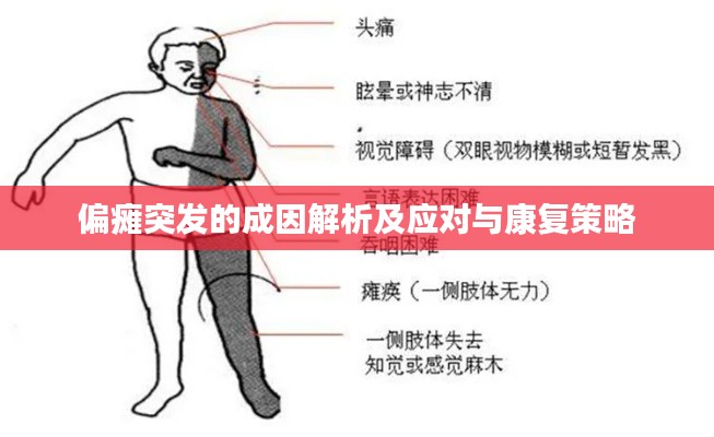 偏瘫突发的成因解析及应对与康复策略