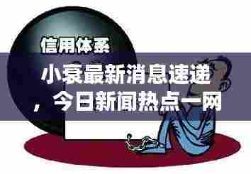 小衰最新消息速递，今日新闻热点一网打尽