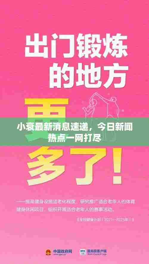 小衰最新消息速递,今日新闻热点一网打尽