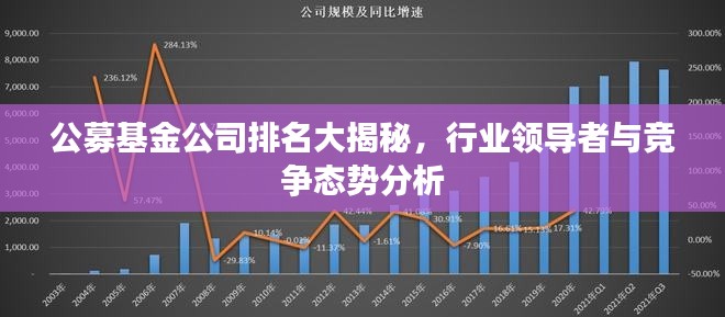 公募基金公司排名大揭秘,行业领导者与竞争态势分析