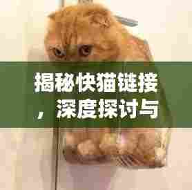揭秘快猫链接,深度探讨与寻找指南