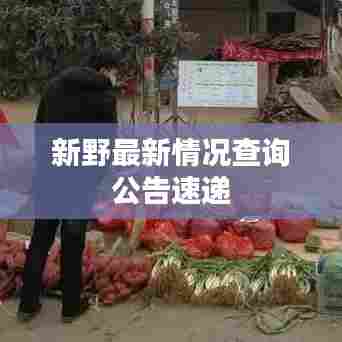 新野最新情况查询公告速递