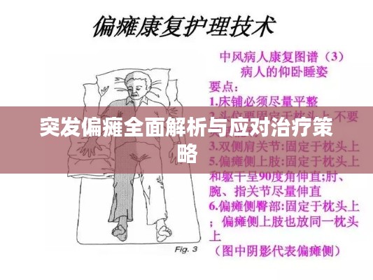 突发偏瘫全面解析与应对治疗策略