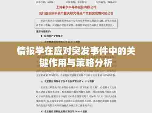 情报学在应对突发事件中的关键作用与策略分析