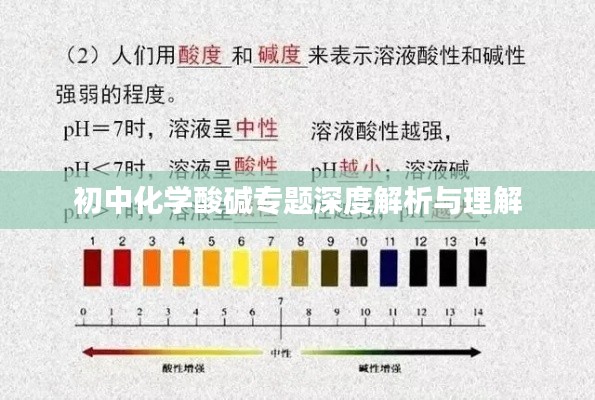 初中化学酸碱专题深度解析与理解