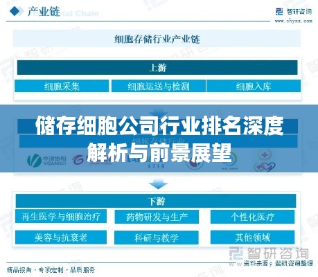 储存细胞公司行业排名深度解析与前景展望