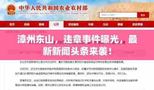 漳州东山，违章事件曝光，最新新闻头条来袭！