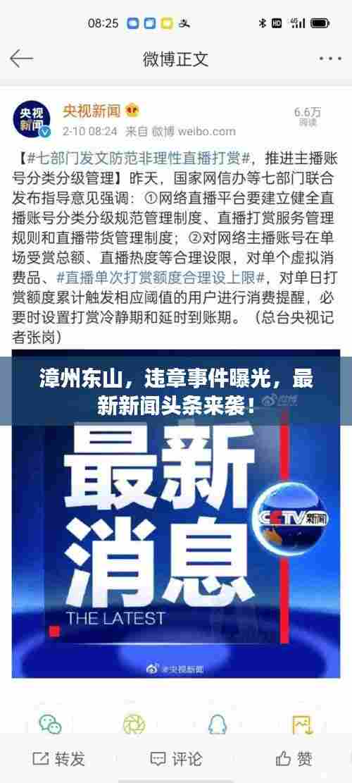 漳州东山,违章事件曝光,最新新闻头条来袭!