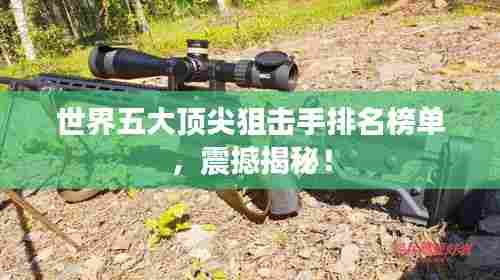 世界五大顶尖狙击手排名榜单,震撼揭秘!