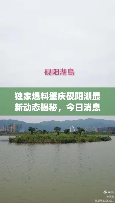 独家爆料肇庆砚阳湖最新动态揭秘,今日消息一网打尽!